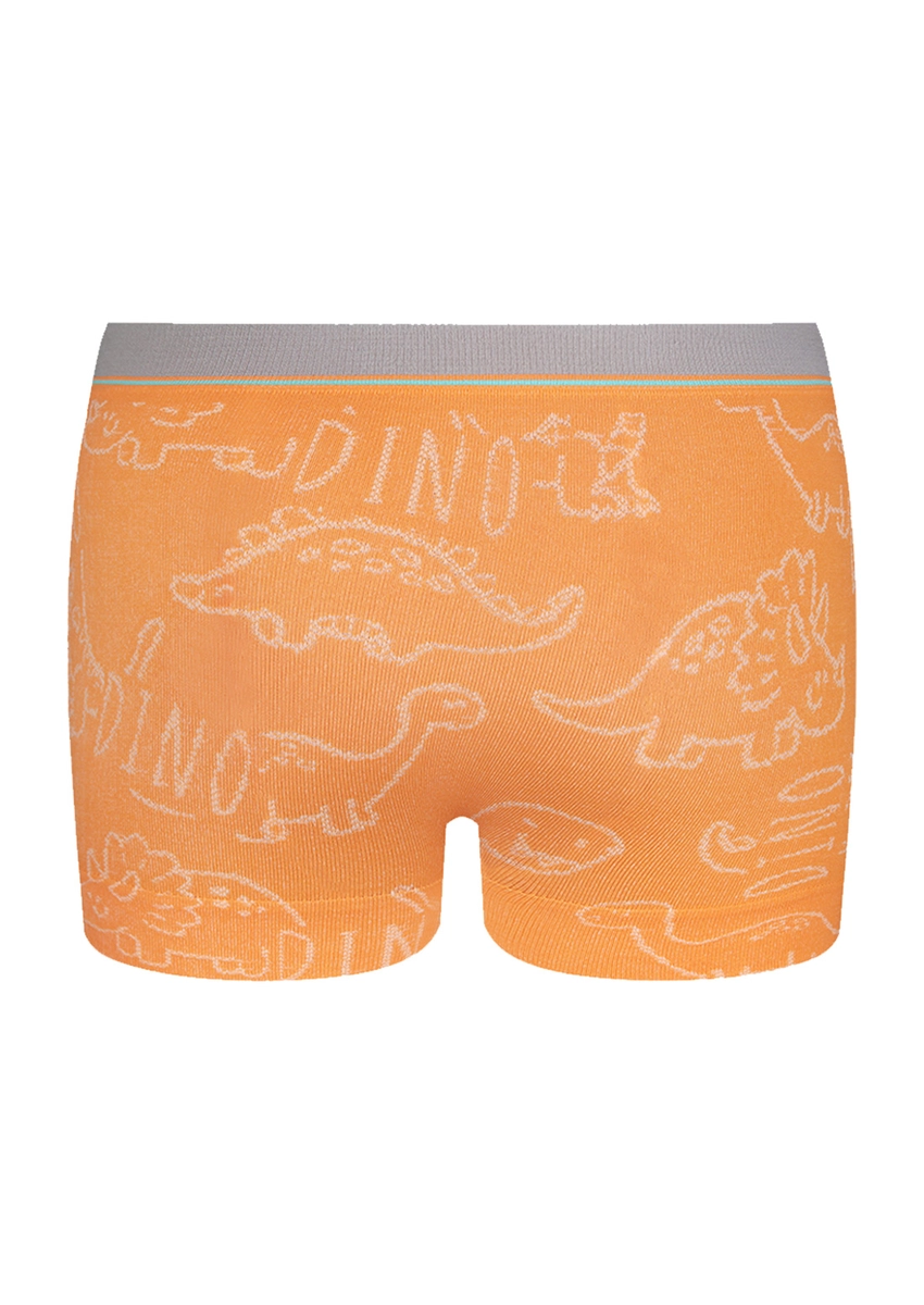 LGB BOXER RN初期　CHOCOLATE×CHAMPAGNE Calcinha Boxer Loba Lupo 41800-001 Microfibra Nude | Dafiti