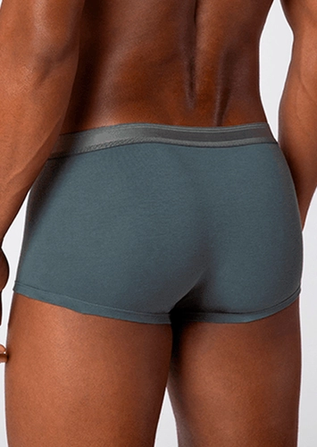 Cueca Sunga Lupo 480-003
