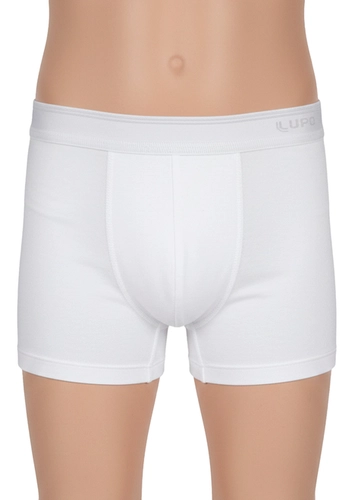 Cueca Infantil Boxer Lupinho 150-003