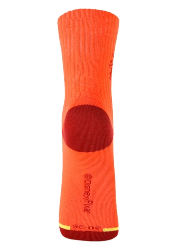 Meia Infantil Cano Longo Divertidamente Lupo 2453-001