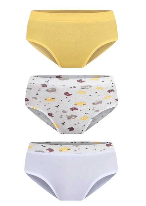 Kit com 3 Calcinhas Infantil Lobinha 18110-089