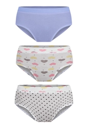 Kit com 3 Calcinhas Infantil Lobinha 18110-089