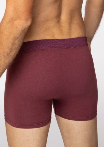 Cueca Boxer Lupo 784-070